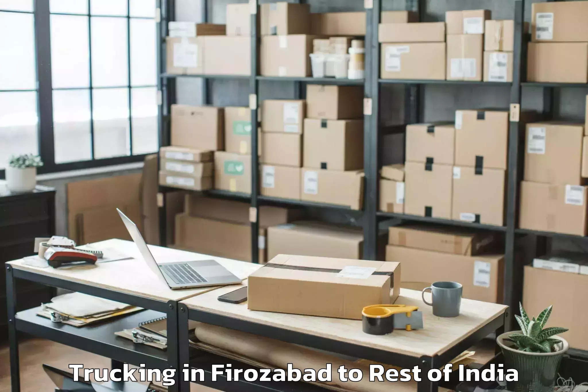 Reliable Firozabad to Tuting Trucking